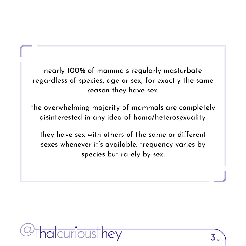 nearly 100% of mammals regularly masturbate regardless of species, age or sex, for exactly the same reason they have sex. the overwhelming majority of mammals are completely disinterested in any idea of homo/heterosexuality. they have sex with others of the same or different sexes whenever it\&#039;s available. frequency varies by species but rarely by sex.